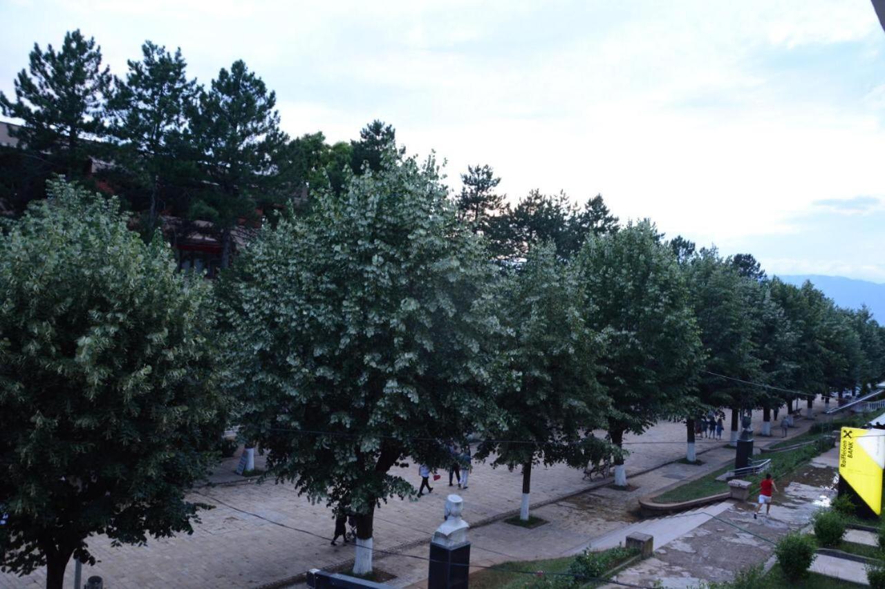 Royal Hotel Peshkopi Albania Eksteriør billede